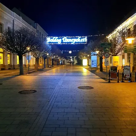 Belvarosi Kerteshaz Semesterbostad *